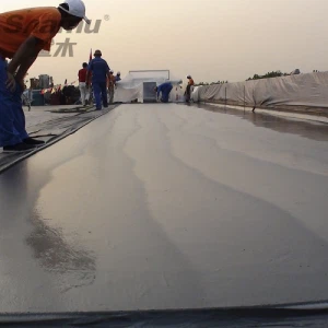 Deunydd Polyurea Anticorrosive Uchel Gyda Strwythur Dur